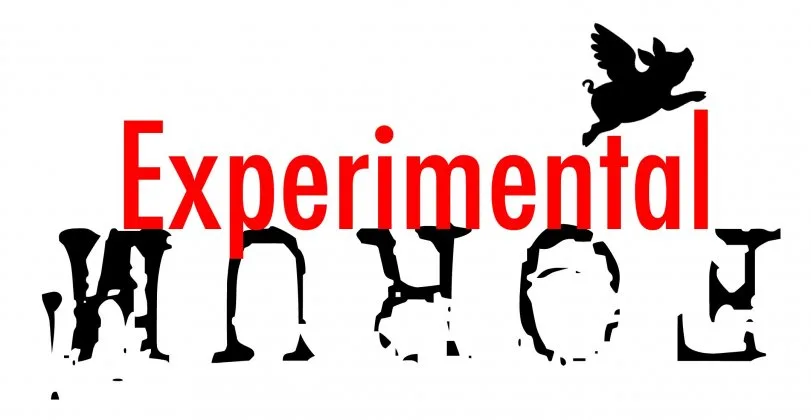 Experimental Forum logo