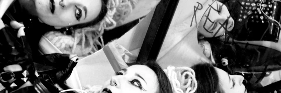 Silvia Marcantoni Taddei cover image