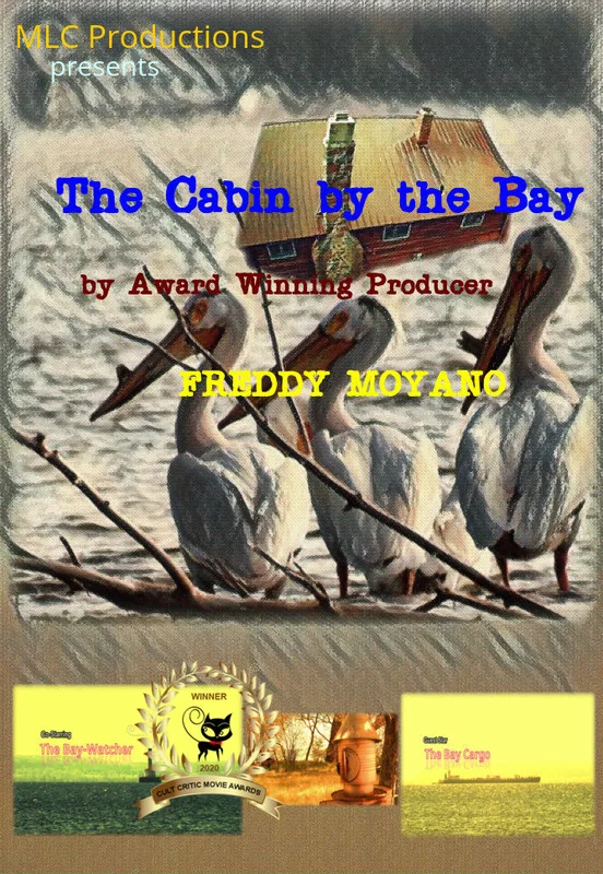 The Cabin by the Bay poster