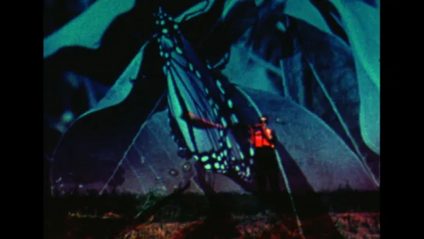 butterfly disaster poster