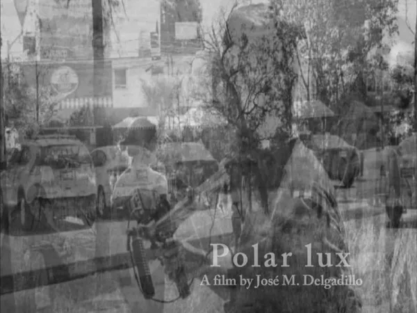 POLAR LUX poster
