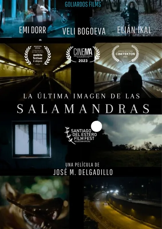 THE LAST IMAGE OF SALAMANDERS poster