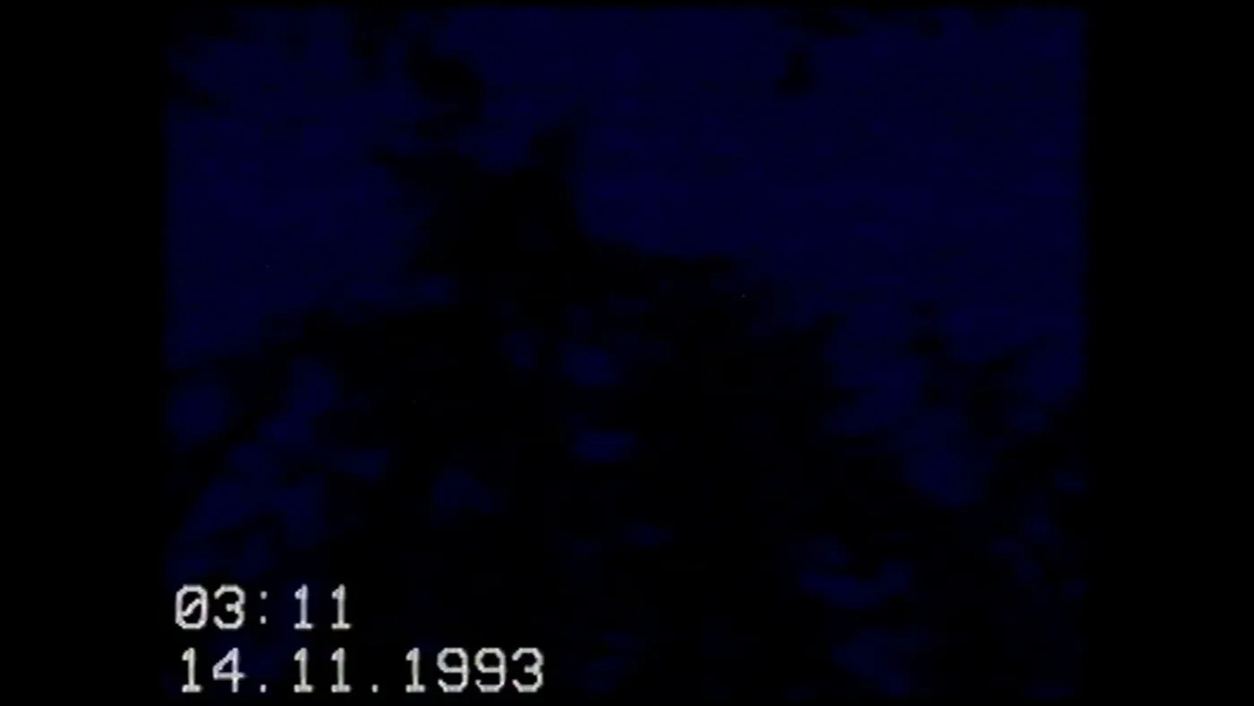 Pastinaca Videotapes Plantation (3.0)